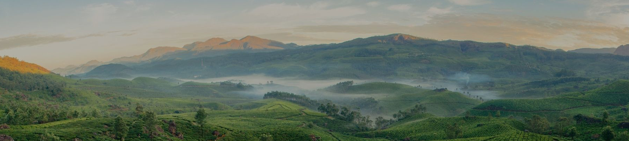 Astara - boutique stargazing resort  Munnar