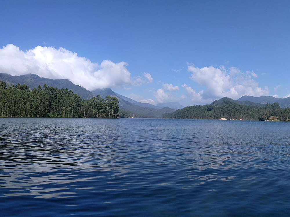 Astara - boutique stargazing resort  Munnar