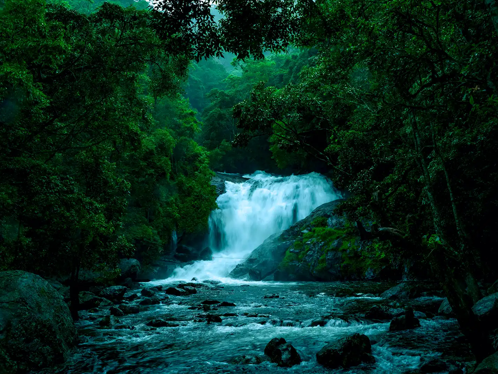 Astara - boutique stargazing resort  Munnar